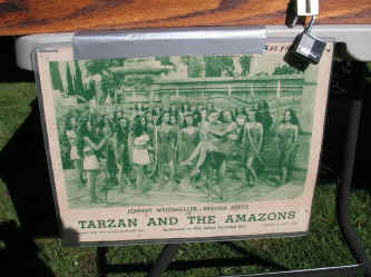 PICT1169_1200x900.jpg (227009 bytes)