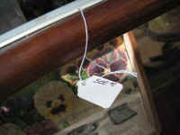 PICT7461_1600x1200.jpg (94206 bytes)