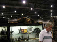 PICT7591_1600x1200.jpg (120120 bytes)