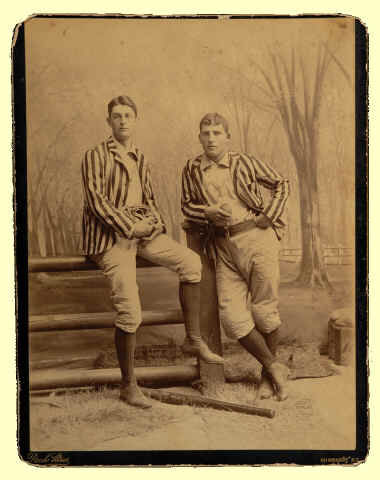 StaggPhotoLightYellow.jpg (246653 bytes)