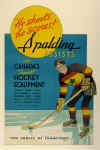 433SpaldHockeySign.jpg (172918 bytes)