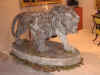 lionleft.jpg (599816 bytes)