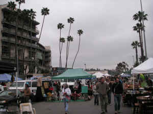 pict6270.jpg (185109 bytes)