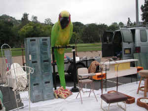 pict6271.jpg (201414 bytes)