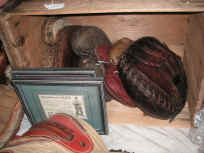 pict6914.jpg (220688 bytes)