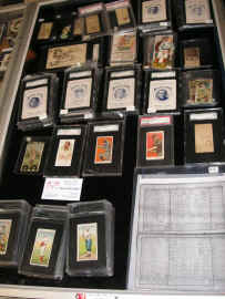 pict7384.jpg (300472 bytes)