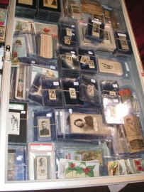 pict7415.jpg (263369 bytes)