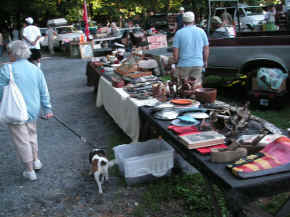 pict7884.jpg (220921 bytes)