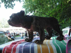 pict7888.jpg (228191 bytes)