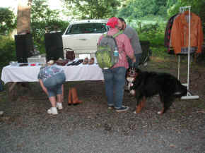 pict7920.jpg (265654 bytes)