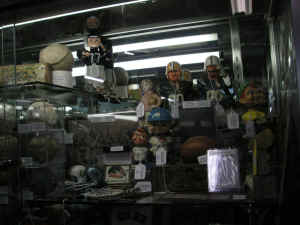 pict8091.jpg (176425 bytes)