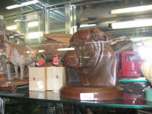 pict8098.jpg (196298 bytes)