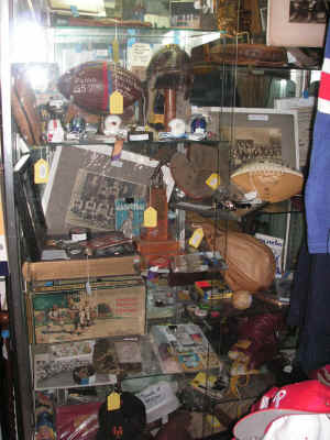 pict8101.jpg (208487 bytes)