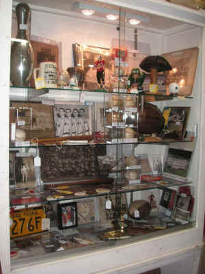 pict8116.jpg (173287 bytes)