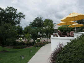 pict8298.jpg (212887 bytes)