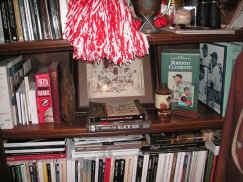 pict8521.jpg (267910 bytes)