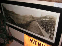 pict8545.jpg (192931 bytes)