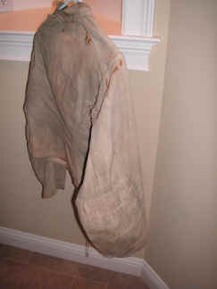 pict8603.jpg (168932 bytes)