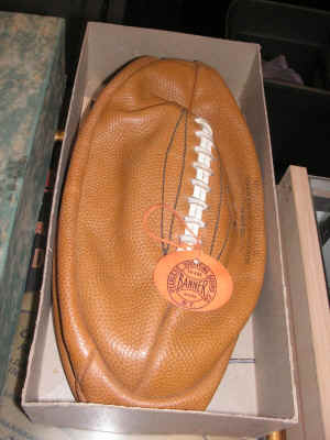 pict9490.jpg (286955 bytes)