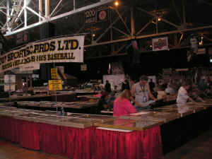 pict9690.jpg (428938 bytes)