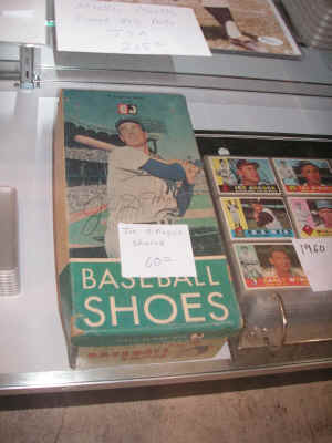 pict9728.jpg (329316 bytes)